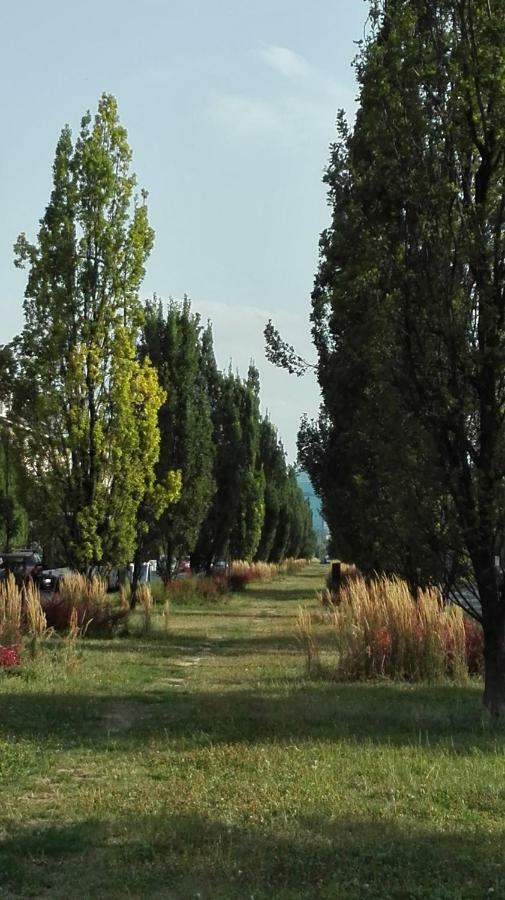 Apartament Krakowski Styl Екстер'єр фото